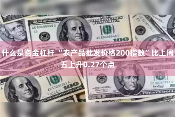 什么是资金杠杆 “农产品批发价格200指数”比上周五上升0.27个点