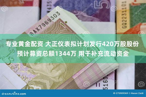 专业黄金配资 大正仪表拟计划发行420万股股份 预计募资总额1344万 用于补充流动资金