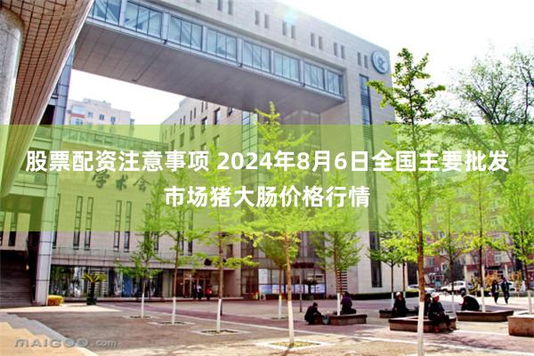 股票配资注意事项 2024年8月6日全国主要批发市场猪大肠价格行情