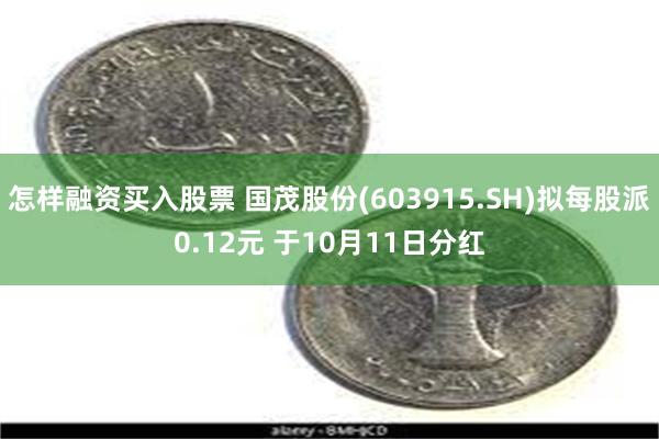 怎样融资买入股票 国茂股份(603915.SH)拟每股派0.12元 于10月11日分红