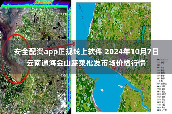 安全配资app正规线上软件 2024年10月7日云南通海金山蔬菜批发市场价格行情