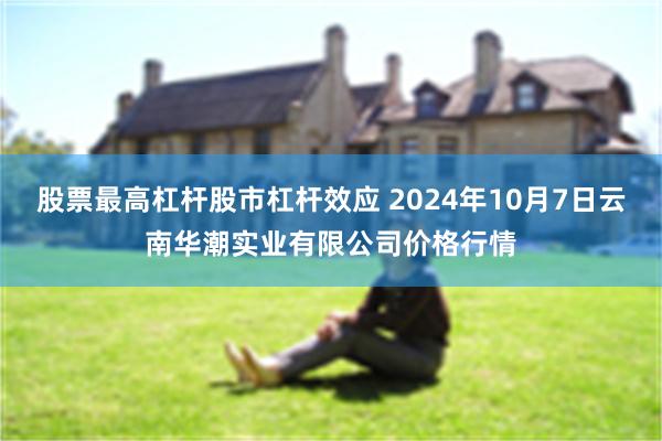 股票最高杠杆股市杠杆效应 2024年10月7日云南华潮实业有限公司价格行情