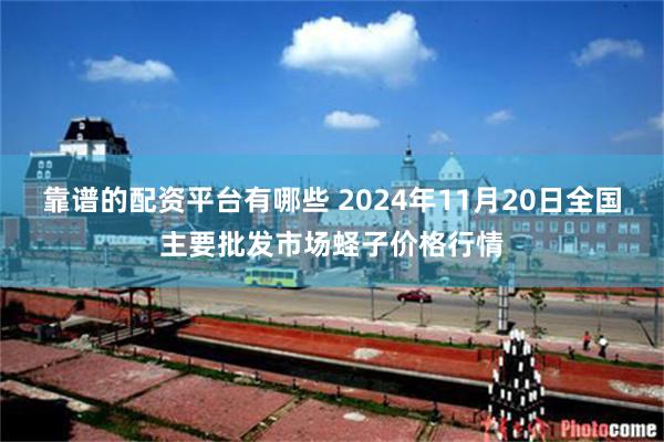 靠谱的配资平台有哪些 2024年11月20日全国主要批发市场蛏子价格行情