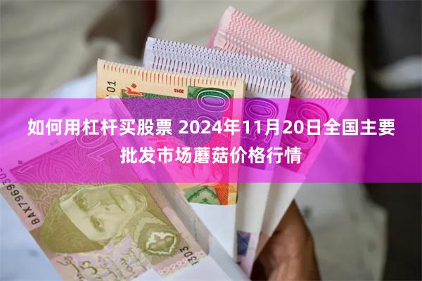 如何用杠杆买股票 2024年11月20日全国主要批发市场蘑菇价格行情