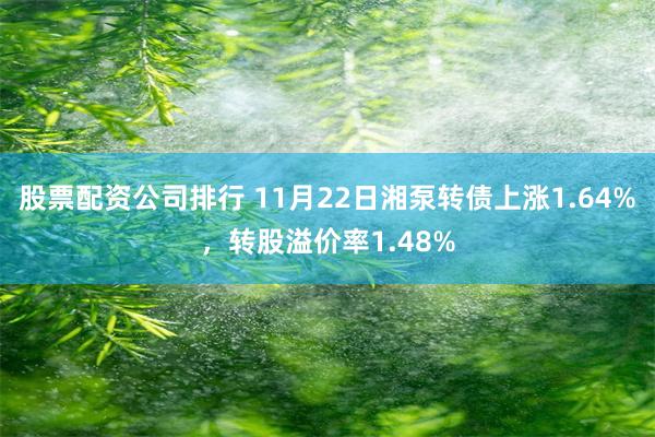 股票配资公司排行 11月22日湘泵转债上涨1.64%，转股溢价率1.48%