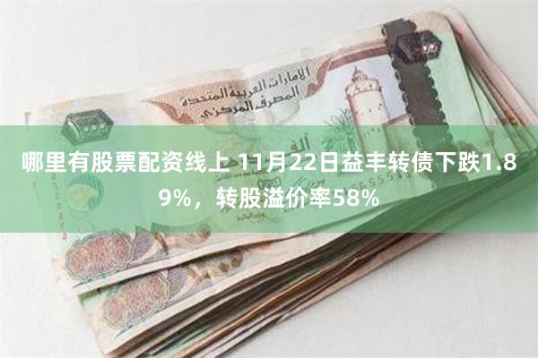 哪里有股票配资线上 11月22日益丰转债下跌1.89%，转股溢价率58%