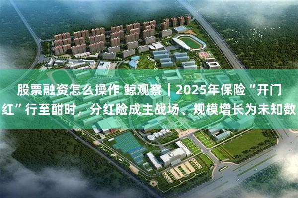 股票融资怎么操作 鲸观察｜2025年保险“开门红”行至酣时，分红险成主战场、规模增长为未知数