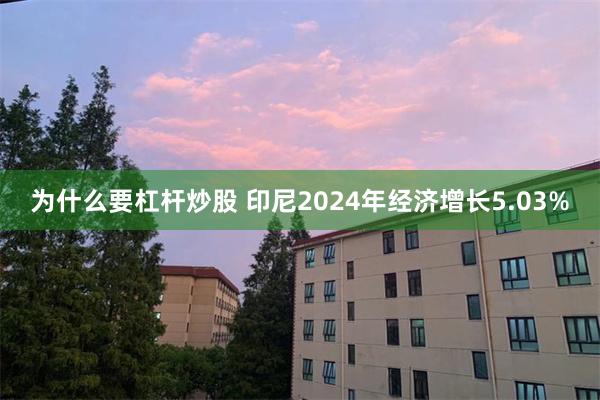 为什么要杠杆炒股 印尼2024年经济增长5.03%