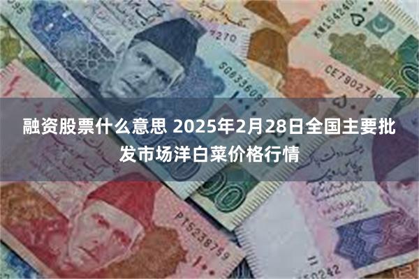 融资股票什么意思 2025年2月28日全国主要批发市场洋白菜价格行情