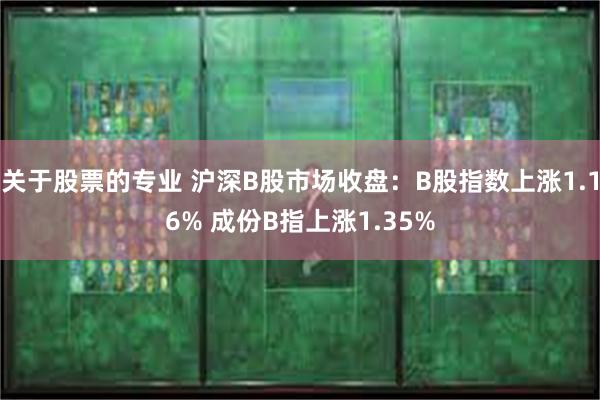 关于股票的专业 沪深B股市场收盘：B股指数上涨1.16% 成份B指上涨1.35%