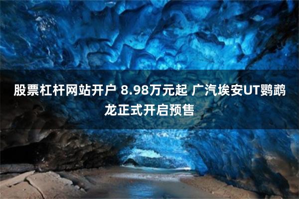 股票杠杆网站开户 8.98万元起 广汽埃安UT鹦鹉龙正式开启预售